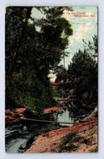 Swamp Canal WAYCROSS Georgia ~