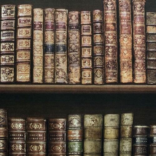 Antique bookcase wallpaper - antique,