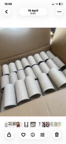 Empty toilet roll tubes 100 - toilet,