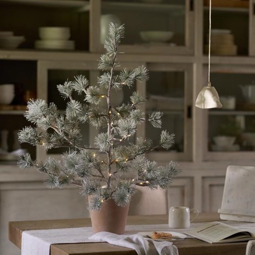 The white company frosted - the,