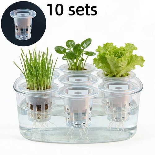 10pcs hydroponic seedling - 10pcs,