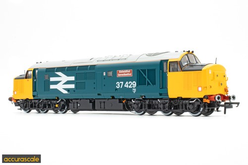 Accurascale acc3155 gauge - accurascale,