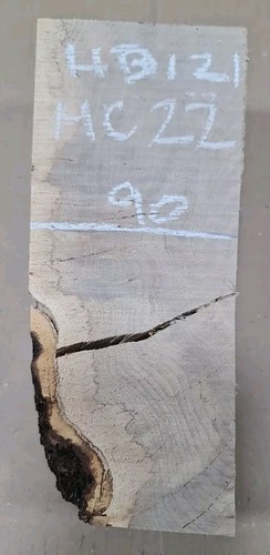 Spalted old hornbeam blank - hornbeam,
