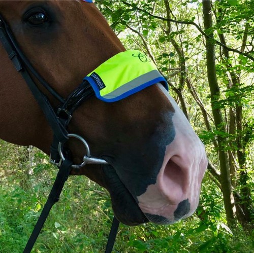 Equisafety multi coloured - equisafety,