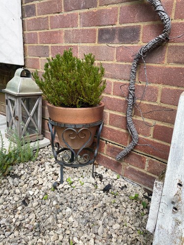 Wrought iron plant stand - stand,