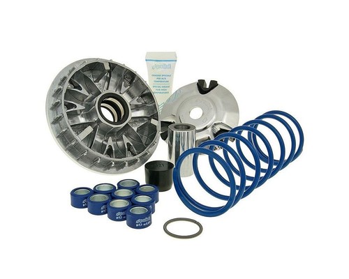 Variomatic polini maxi - variomatic,