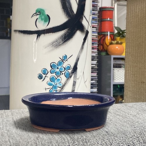 Bonsai pot glazed - bonsai,
