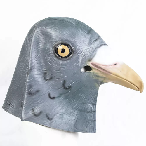 Grey pigeon mask bird - grey,