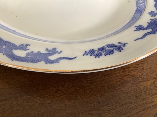 Cauldon blue dragon large meat - blue,