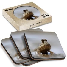 Square MDF Coaster Cute