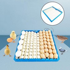 Egg turning - egg, 70-108