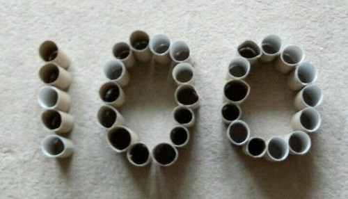 100 empty toilet roll - toilet,