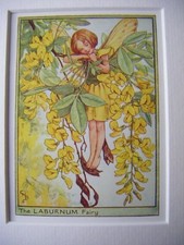 Vintage Flower Fairies Print &