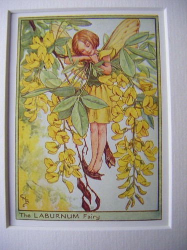Vintage flower fairies print - fairies,