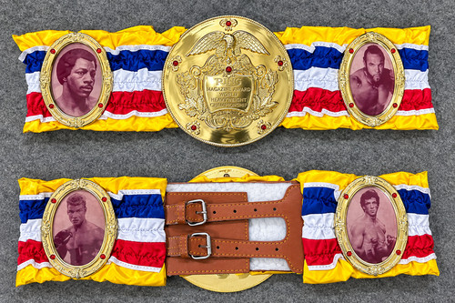 Rocky boxing championship - boxing,