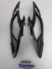 TRIUMPH DAYTONA 675 / R