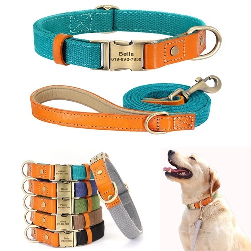Nylon dog puppy - puppy, collar