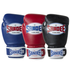 Sandee kids boxing - boxing, muay