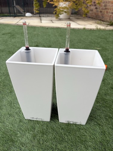 Indoor plant pots lechuza - plant,