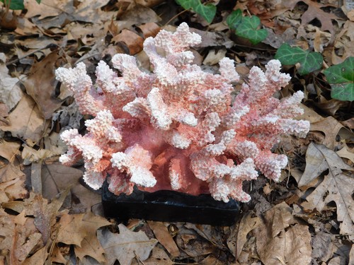 Fake pink branching - 9",