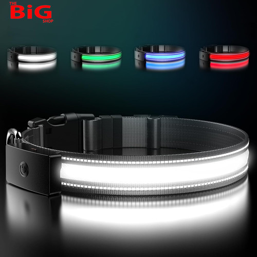 Led light dog - led,