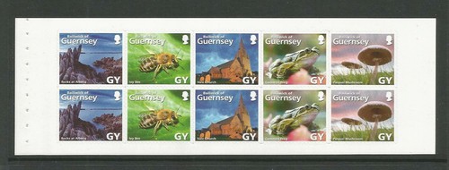 Guernsey 2007 nvi - guernsey,