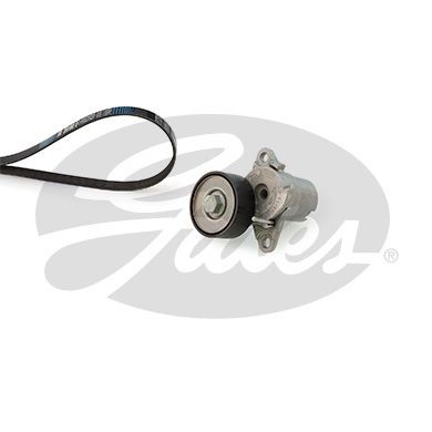 Gates drive belt - for, vw