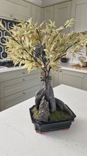 Bloom Artificial Bonsai 48cm