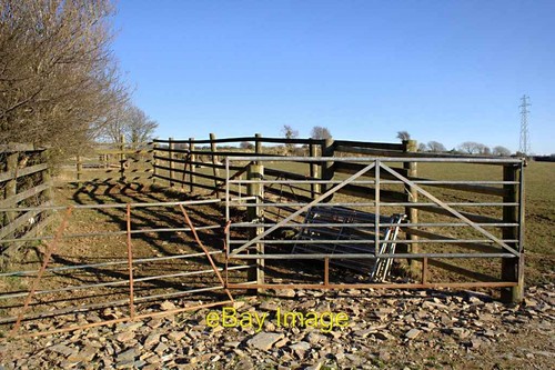 Photo 6x4 cattle pen - pen, the
