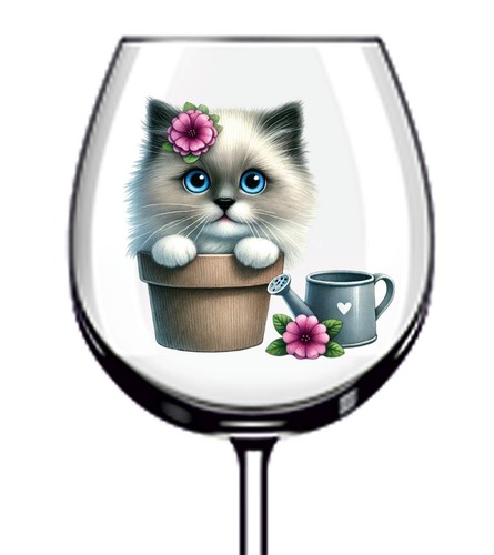 12x ragdoll cat kitten vinyl - cat,
