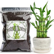 Premium lucky bamboo soil - bamboo, mix