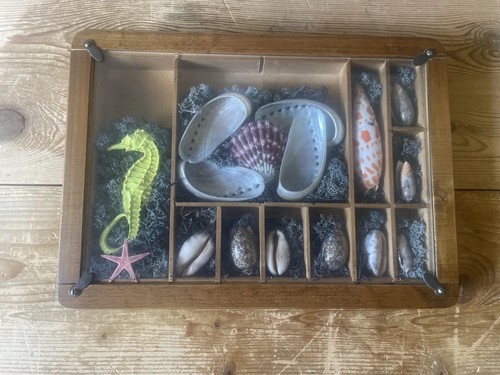 Vintage seaside shell seahorse - seaside,