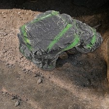  Turtle Climbing Rack Turtles