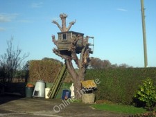 Photo 6x4 Tree House off