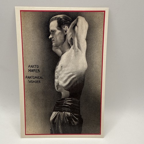 Anato hayes anatomical - hayes,