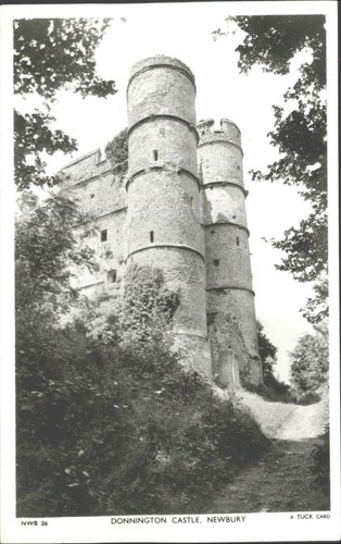 Donnington castle newbury real - castle,
