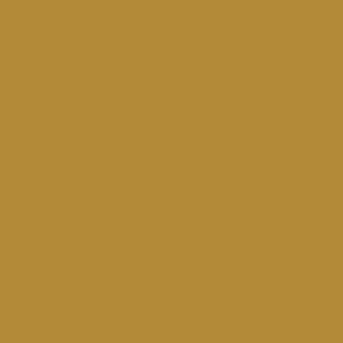 Labrador retriever dog - retriever,