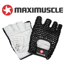 Pair of Maxi-Muscle Gym