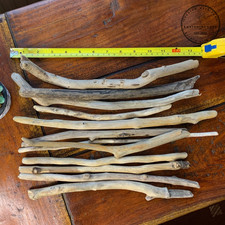 Driftwood - 12 X LONG pieces of Naturally sea water worn driftwood - arts craft