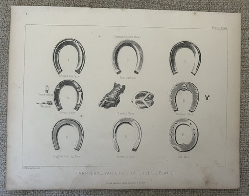 Horseshoes farriery c1880 - horseshoes,
