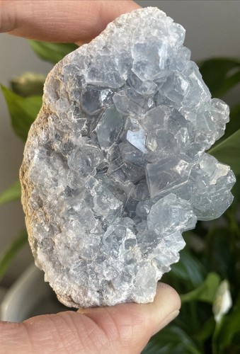 Celestite open cluster - cluster, geode