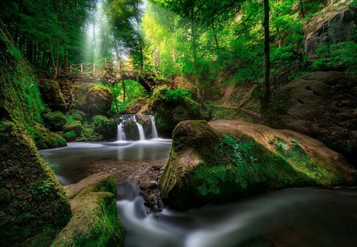 Green forest bridge waterfall - bridge,