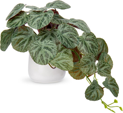 Artificial plants ceramic - plants, in