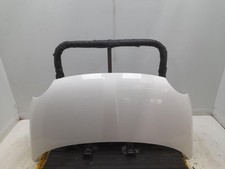 FIAT 500 Bonnet 2009-2015 268