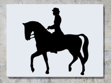 Horse Riding Pet Animal Rider