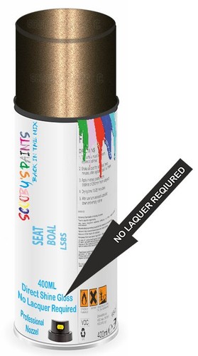 Direct shine paint - shine, spray