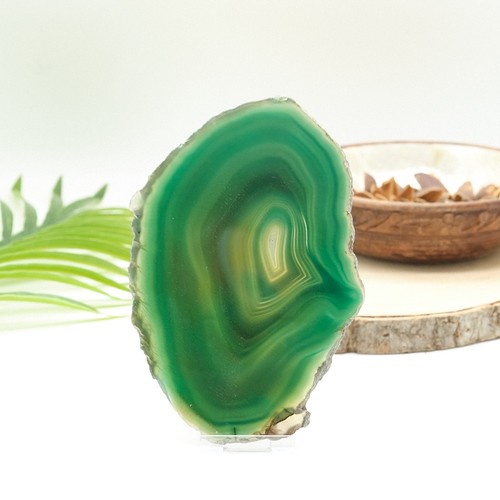 Large green agate slice - large,