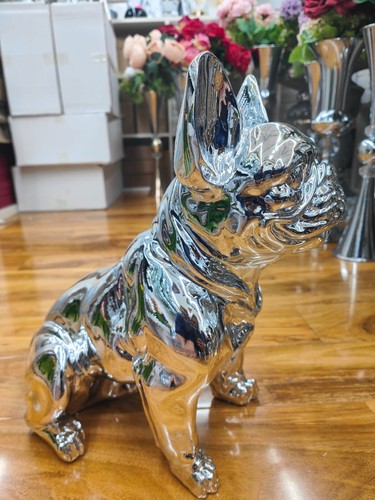 Large silver bling - x,