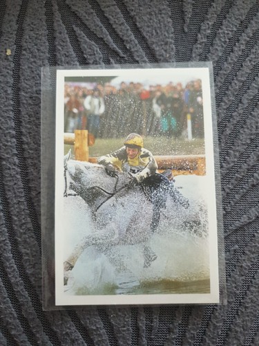 1986 question of - a, sport