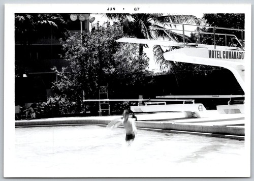 Swimming pool diving board - pool,